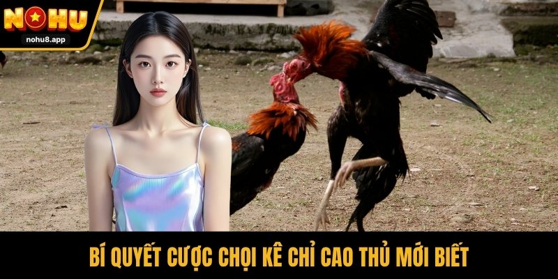 Bí quyết cược chọi kê chỉ cao thủ mới biết