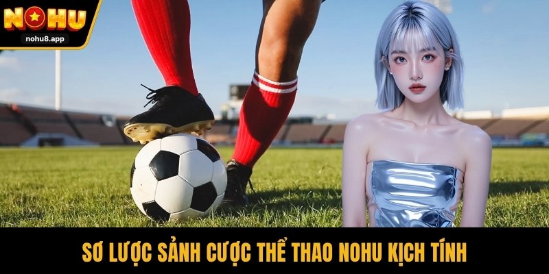 Sơ lược sảnh cược thể thao NOHU kịch tính